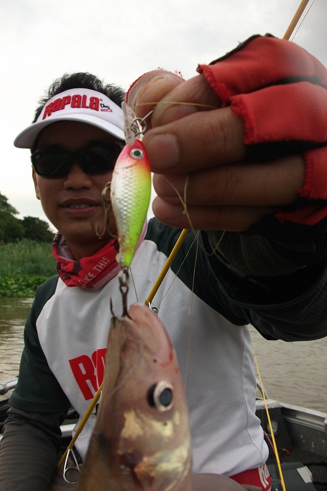 Ultra Light Shad :grin: :grin: :grin: