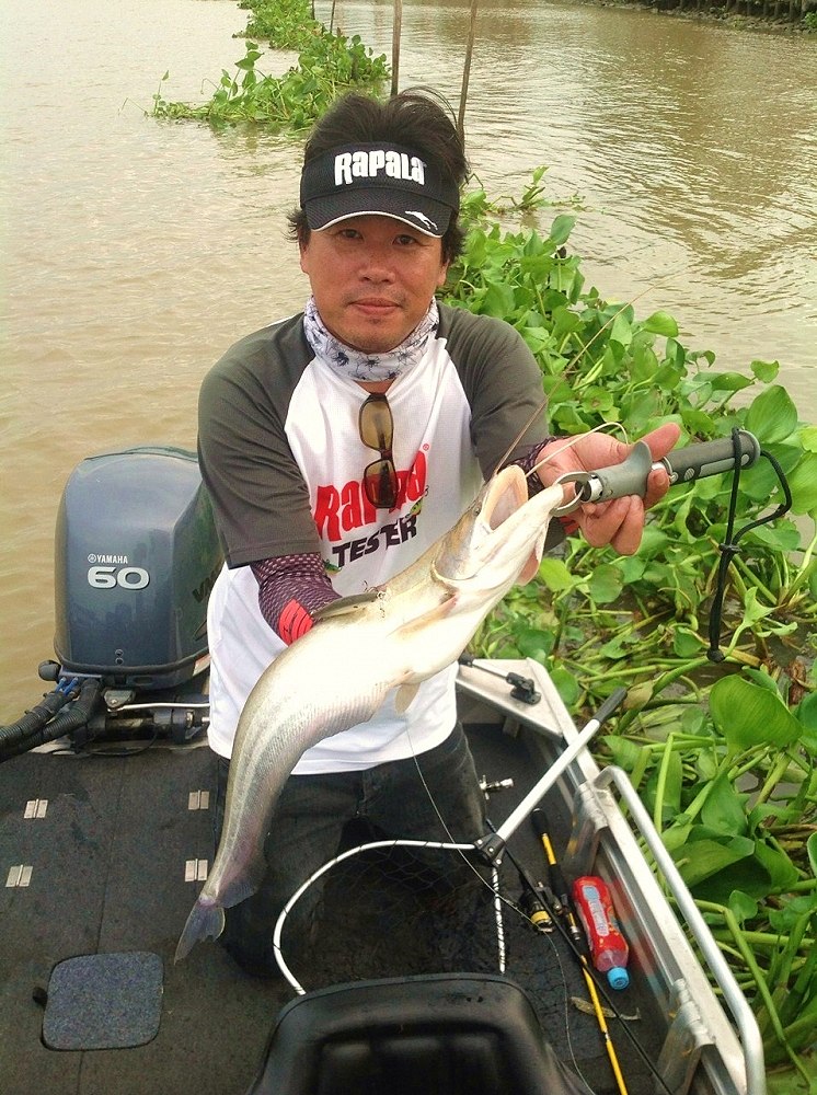 ปลาโฉบเหยื่อมาโดนเบ็ดเต็มหลังเลย