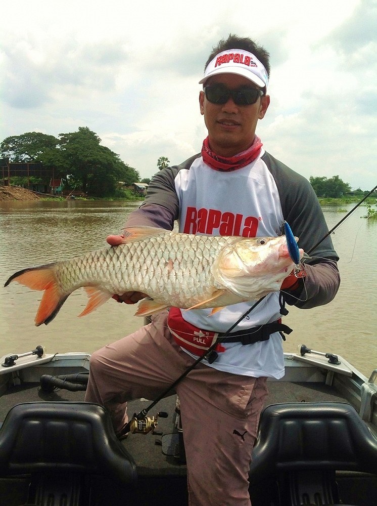 รูปหมดแล้วครับ ลากันด้วยภาพนี้เลยนะครับ

ขอบคุณที่ติดตามชมครับ :grin: :grin: :grin: :grin: