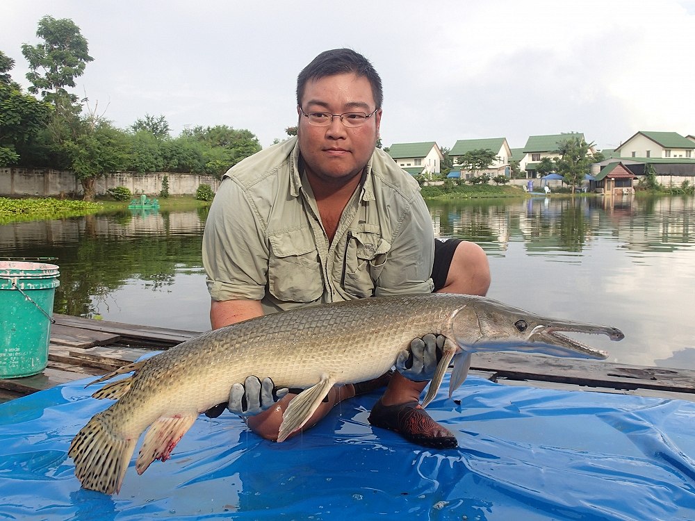 เจ้าตัวนี้ทําแสบครับ สะบัดหัวเอาฟันมาฝากแผลใว้ หายช้ามากครับ