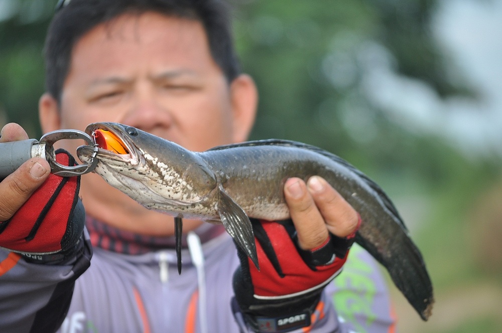 อีกรูปหล่อๆ :smile: :smile: