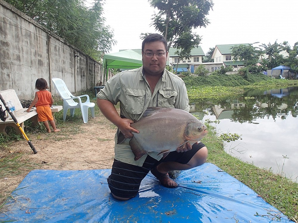 เปคูตัวใหญ่ๆสักตัวครับ คนถ่ายมือไหม่เหลือเกินครับ