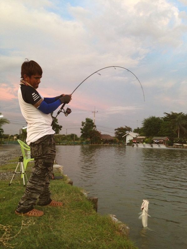 ถือว่าสอบผ่านครับ สำหรับคัน Lito BASS - X .....เหนียว เบา + ดีเหยื่อได้ดี และที่สำคัญ รูปทรงคัน เรีย