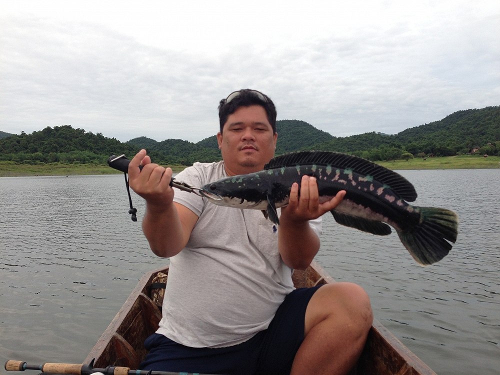 อ้าวทำไมหัวทิ่มแบบนี้ได้