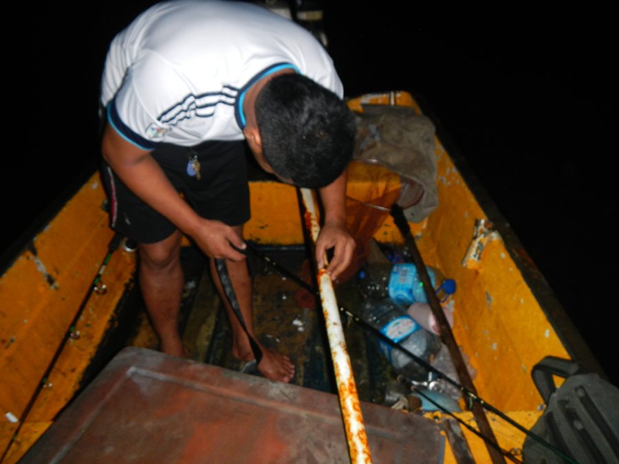 เกือบจะถึงอยู่แล้วน้าโจ้ยกหางเรือขึ้นอย่างเร็วแล้วดับเครื่องเรือทันที   ผมบอกยังไม่ถึงเลย    หางเรือ