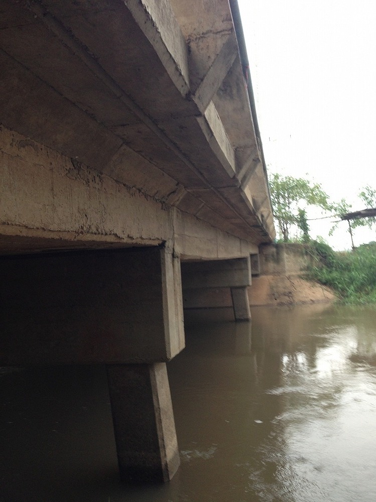 

หลังฝนซาลงเมื่อเย็น ก็ออกมาเดินยืดเส้นยืดสายอยู่แถวสะพานข้ามคลอง ดูน้ำดูนกไปเรื่อยเปื่อย ตามภาษา