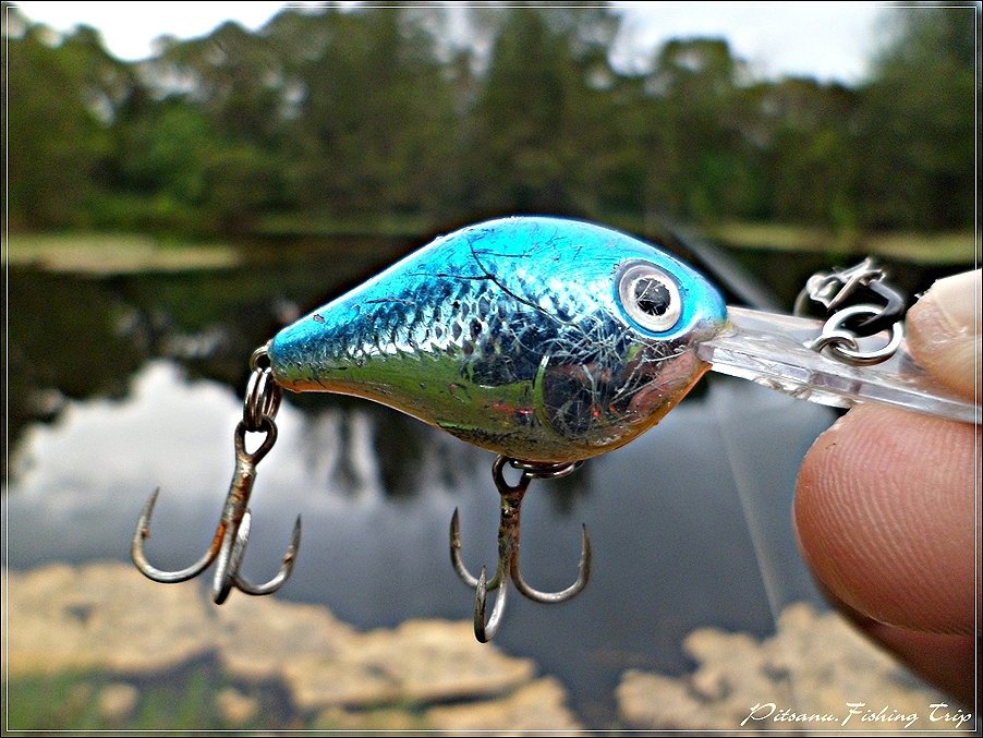 [center] :cheer:    POP เงียบ    เปลี่ยนเป็นปลั๊ก  ตัวเล็กๆๆ  RAPALA Ultra light Crank 3   ดูจากสภา