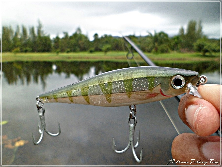  [center] :cheer:    เหยื่อปลั๊กที่ว่าก็ตัวนี้แหละคร๊าฟฟฟ   RAPALA BX MINNOW 10    :cheer:[/center]