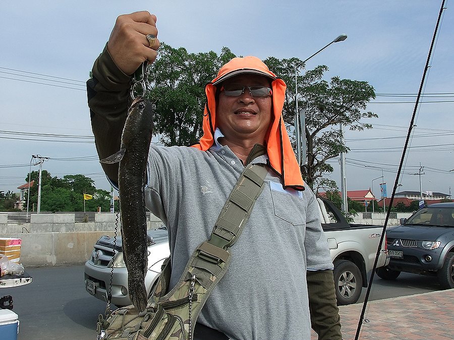 วันเกิดคนใน ปลายางทีม คร๊าบบบบ