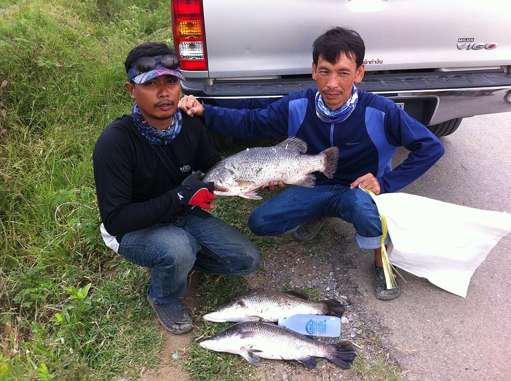 ผลงานของน้าทั้งสองคนครับ  