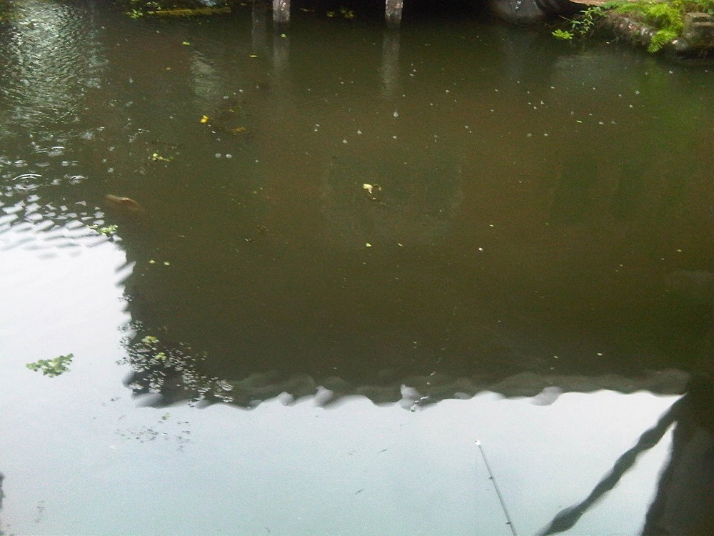 เพิ่มหน่อยครับน้า ทริปเล็ก แต่มันมาก :grin: :grin: :grin: