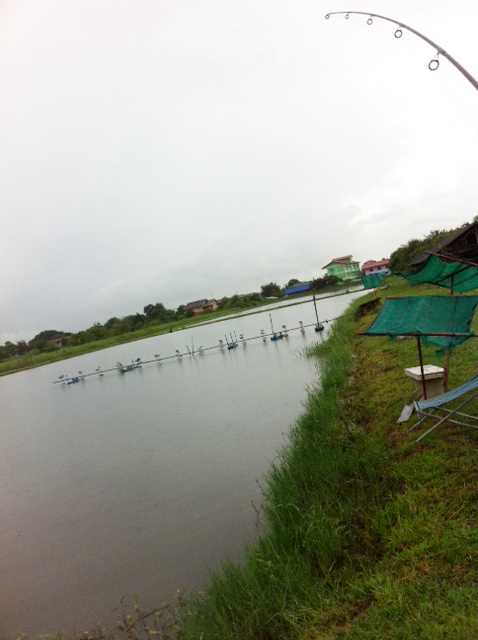 ฝนก็ตก ตีก็ตี ไม่ถึง 10 ไม้ โดนล่ะครับ  :grin: