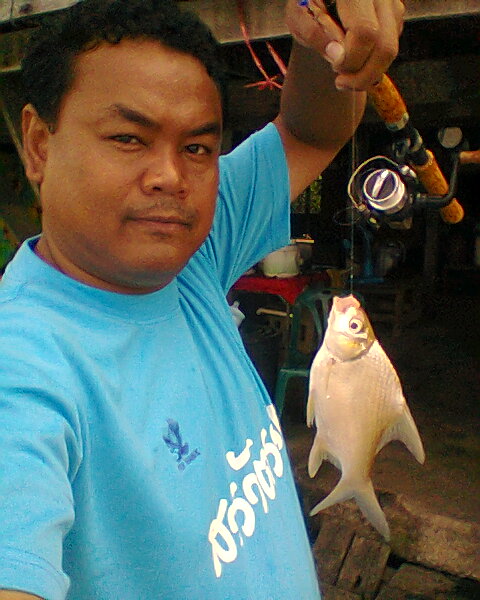 ปลาผมเองครับ... :cheer: :cheer: :cheer: :cheer: :cheer:...