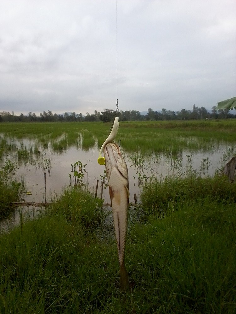 โดนครับๆ แก้มือจนได้  

 :laughing: :laughing: :laughing: :laughing: