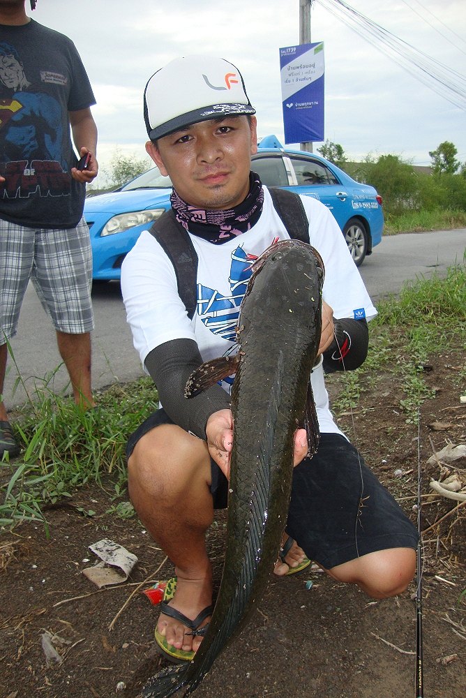 +++++นัทปลายืม..++ :laughing: :laughing: :laughing: :cheer: :cheer: :cheer: