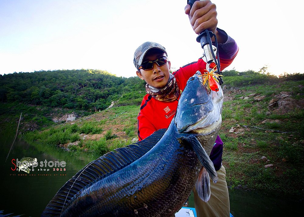 "An Lure"
One of the best lures ever.

ตัวแรกของผมในทริปนี้มาละครับ   เป็นโทรฟี่ของผมสำหรับปลาส