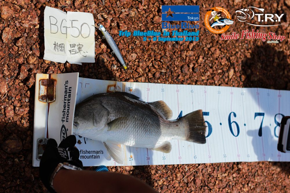 ฮ่าๆๆ ทำประวัติ ลง Blog ของ โปร