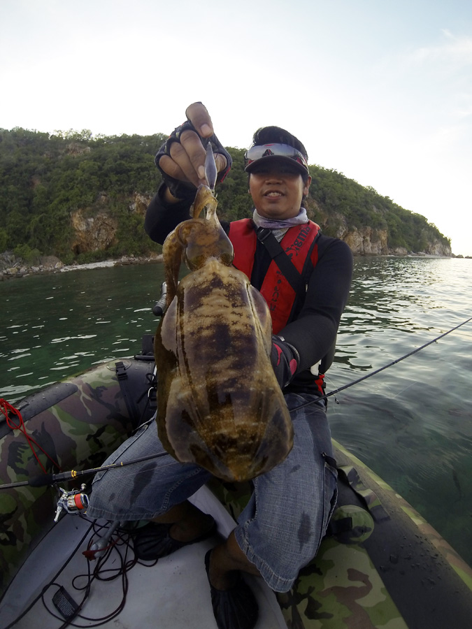  [center]ก็จะมีหมึกมาจับ

เจ้านี่มีชื่อว่า [b]หมึกหอม[/b] หรือ หมึกตะเภา Bigfin Reef Squid (Sepiot