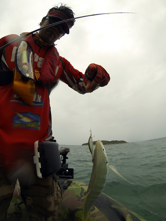  [center]สีกุนจากเหยื่อ SINKING LURE RAPALA X-RAP COUNTDOWN 5cm 4g (XRCD-5)

ตัวนี้เป็นสี OG ใช้จร