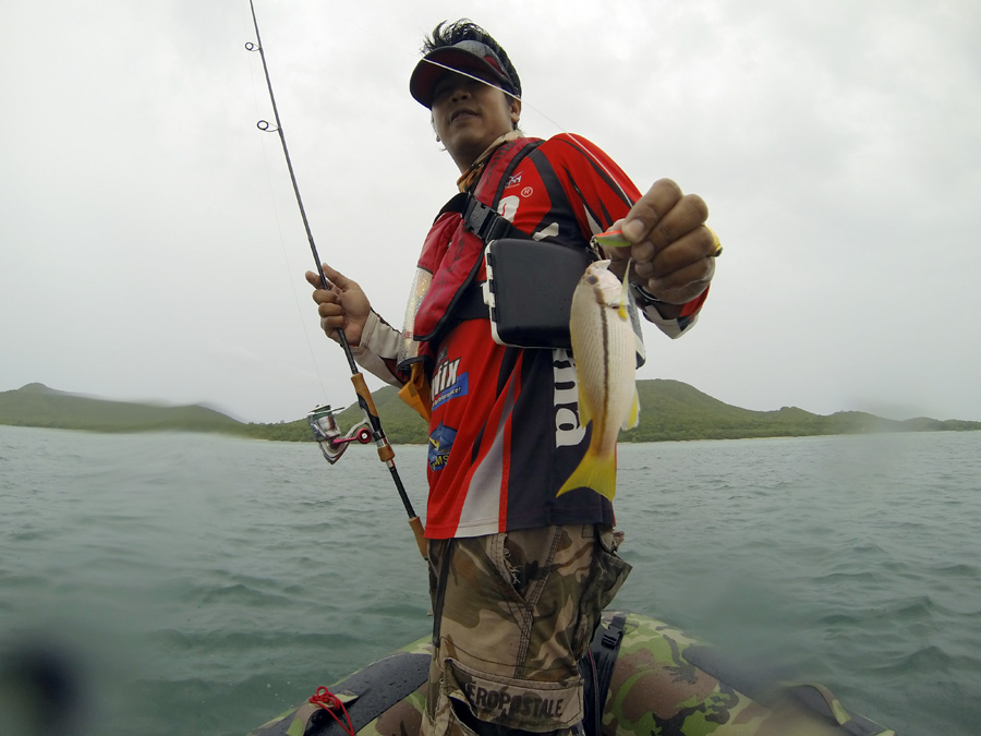  [center]ตามกองใต้น้ำ Jigging ได้นะครับ

อย่างตัวนี้ [b]เหลืองขมิ้น[/b] Brown-Striped Snapper (Lut