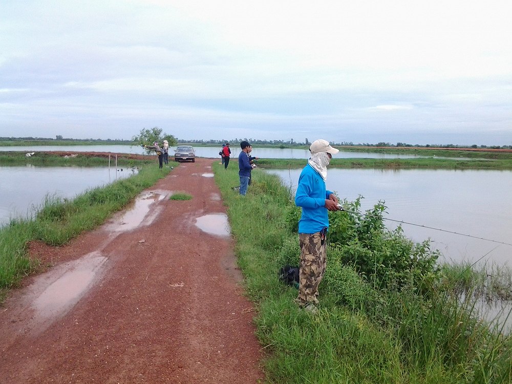 บ้านสร้างฝนตกทุกวันเลยครับ เบาบ้างหนักบ้าง แต่วันนี้ฟ้าใสแต่เช้า น่าจะเป็นลางดี :grin: :grin: