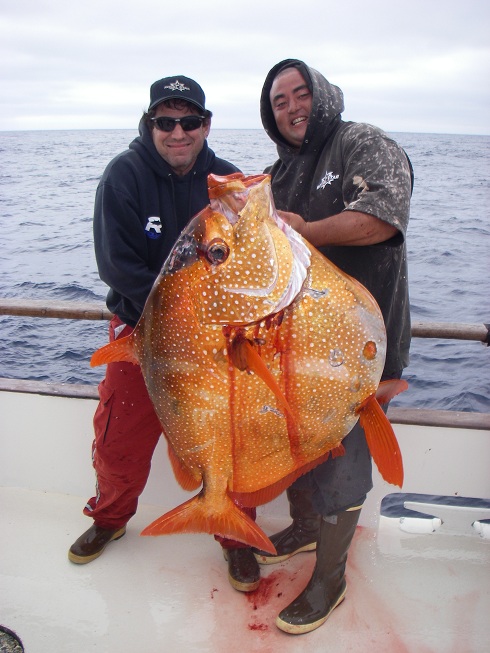  [url='http://www.siamfishing.com/board/view.php?tid=655455']http://www.siamfishing.com/board/view