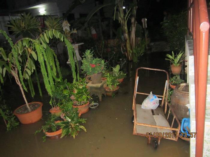 นี่ทางเดินหน้าบ้านครับน้ำสูงประมาณ30 ซม.นี่ขนาดวันแรกนะครับ(น้องน้ำผมก็ชอบแต่อย่ามาเยอะเหมือนตอน 54 