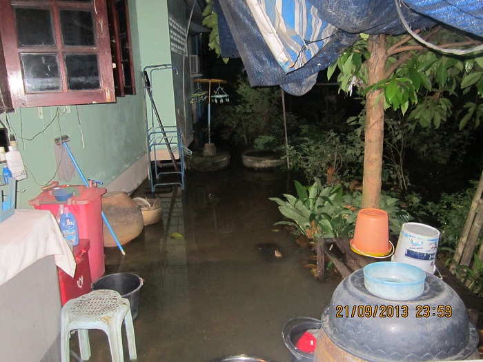 นี่หลังบ้านครับปลาช่อนปลาดุกขึ้นมาจากป่าหญ้าครับแต่ตอนนี้ยังหาไม่ได้แม่บอกเดี๋ยวต้นไม้ที่ฉันปลูกตาย.