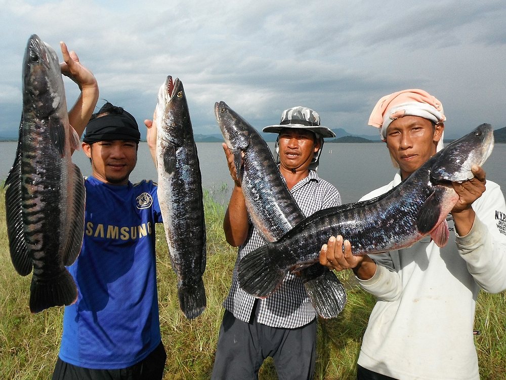 ขอหล่อหน่อยครับ... :grin: :grin: :grin: :grin: :grin: