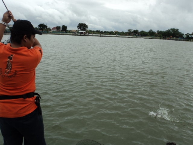 พอได้แล้วมั้งน้า...รูปน้าเต็มกล้องผมแล้ว :grin: