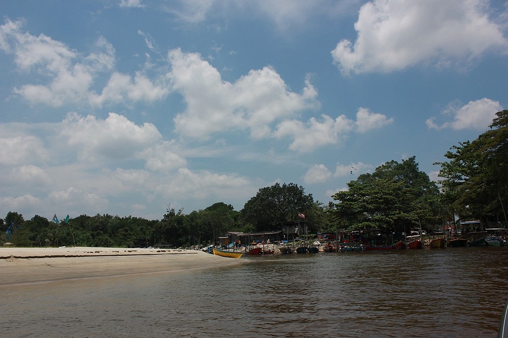  [center]หลังจากกินข้าวเสร็จได้ไม่นาน บ่ายโมงเรือก็มารับกลับ ถ้าน้ำลงมากกว่านี้เรือจะติดสันทราย 

