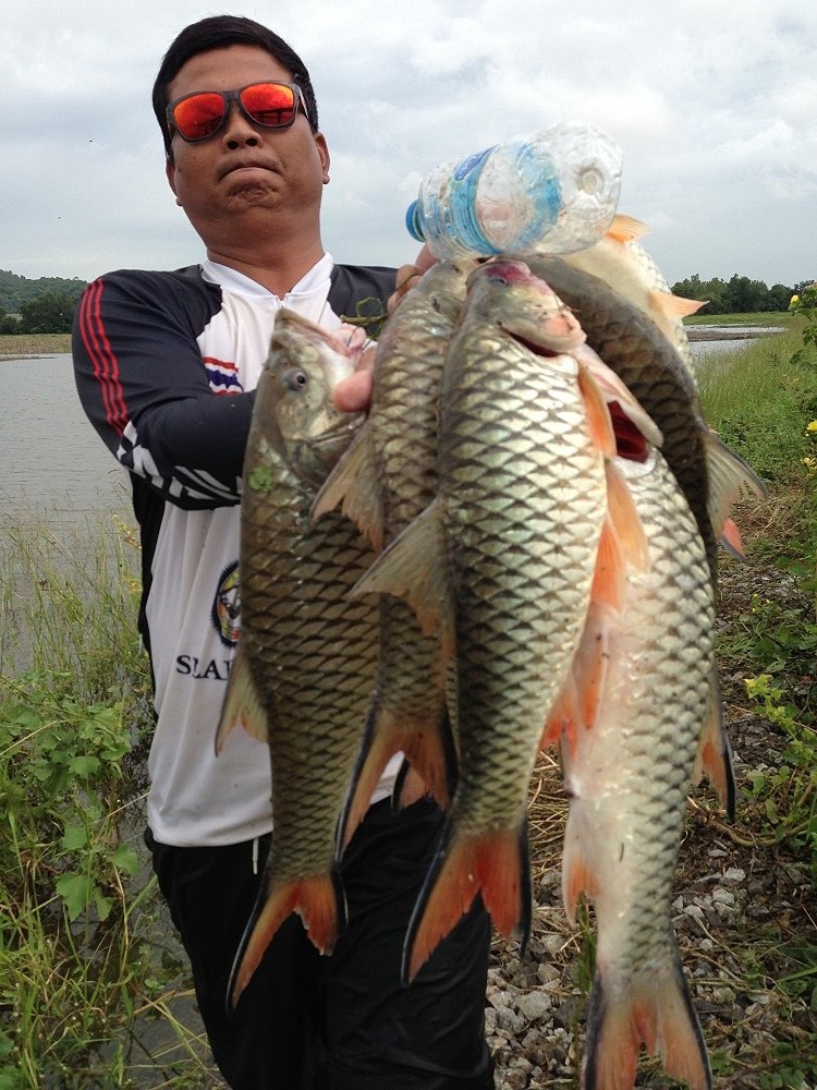 
น้าประสิทธิ์ น้องเมีย เพื่อนเมีย พี่เมีย น้องเมีย 

รวมแล้ว13ตัว 


 :cool: :cool: :cool: