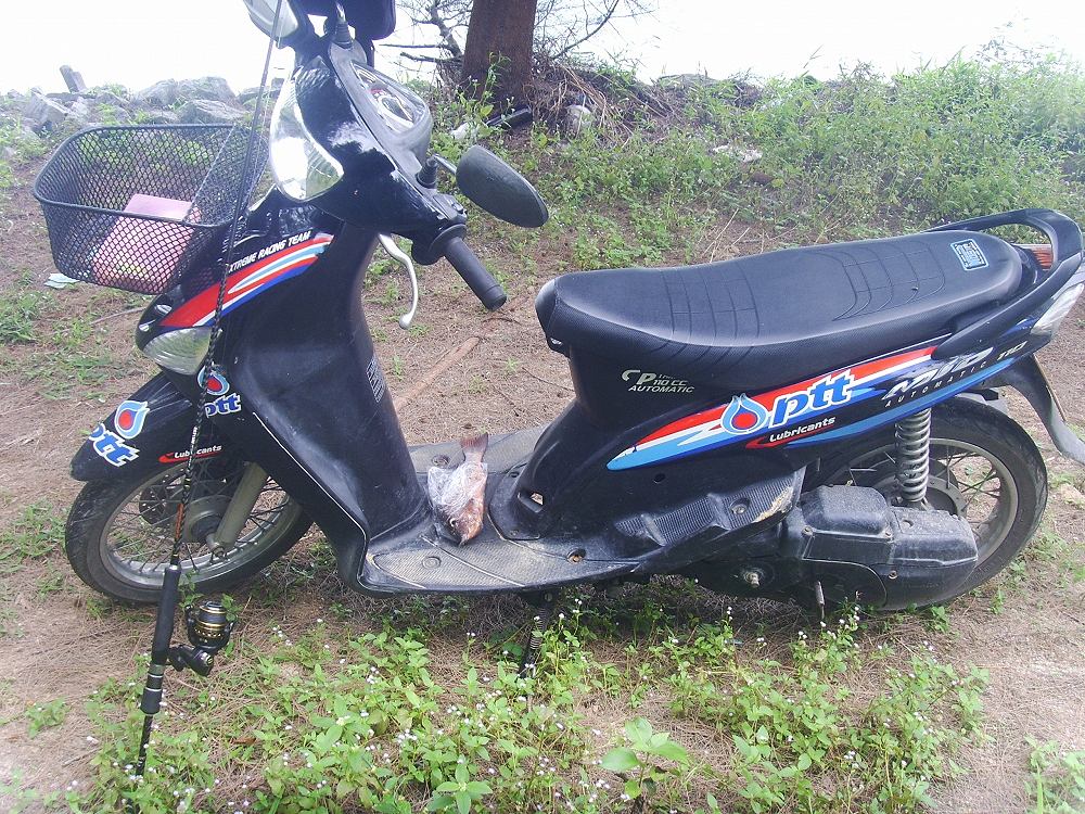 พร้อมย้ายหมาย :smile: :smile: :smile: :smile: