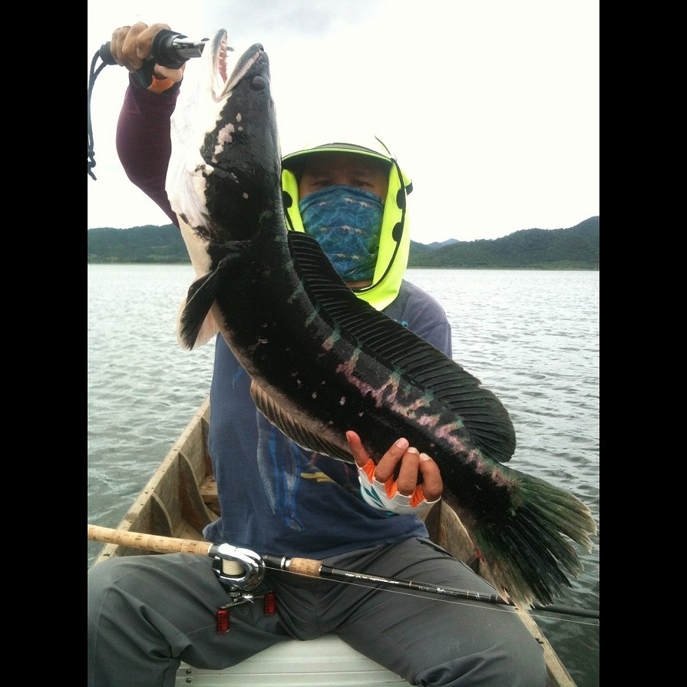 Rod:Temugin Kaleido The Super Stallion  12-30 LB , 7 Foot 1"
Reel:Shimano new Antares 2012 
Line: