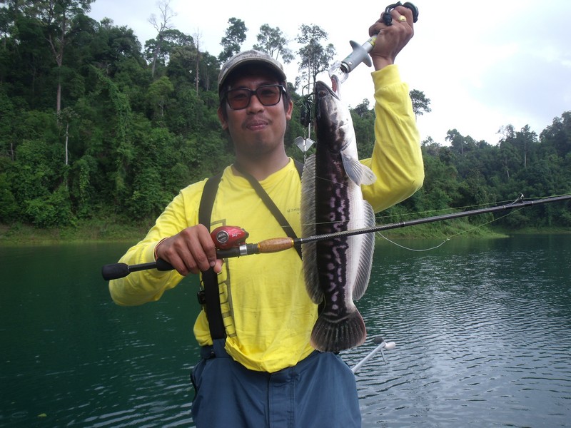 ชุดบ้านๆๆ ครับ
รอก Quantum Kinetic PT รอบ 7
คัน KING COBRA PROBASS 1801 6' 
สาย JIG MASTER pe 3 