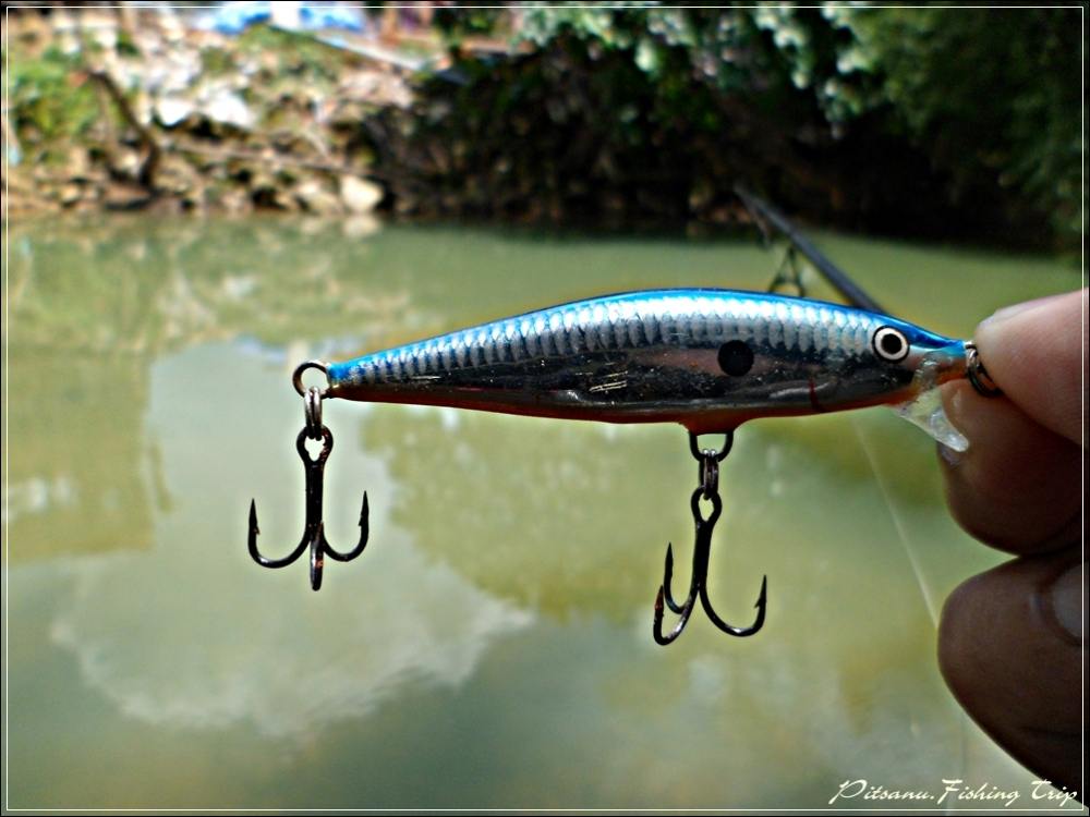  [center] :cheer:       เลือกเป็นเหยื่อปลั๊กครับ   RAPALA FLAT RAP 4   เพียงไม้แรกก็มีวิ่งเข้ามาชาดเ