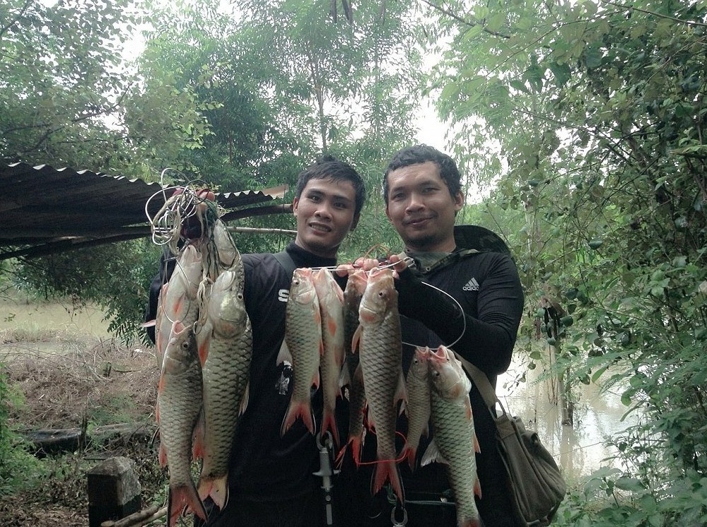 กระสูบวันหยุด