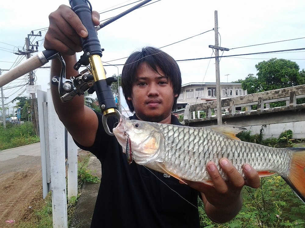หน้าที่ของผมถ่ายรูปครับ 555 :cheer: