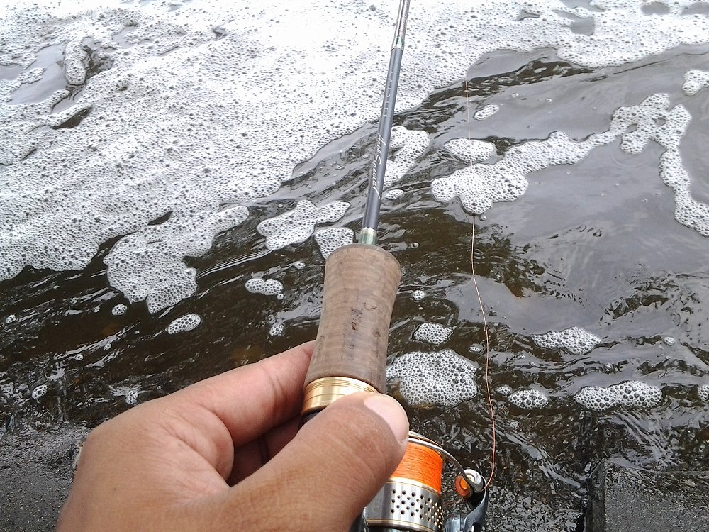 วันนี้ใช้ชุดนี้ครับ 
คัน cardiff 
รอก stella 1000 
สาย shimano soare 0.4
 :cheer: