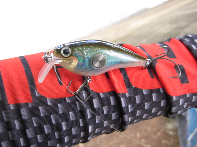  :blush: :blush: :blush: [b]เตรียมตัวกันเลยครับ  RAPALA CLACKIN CRANK เอาตัวนี้ลงบ้าง  ใช้แชดแลพบ่อย