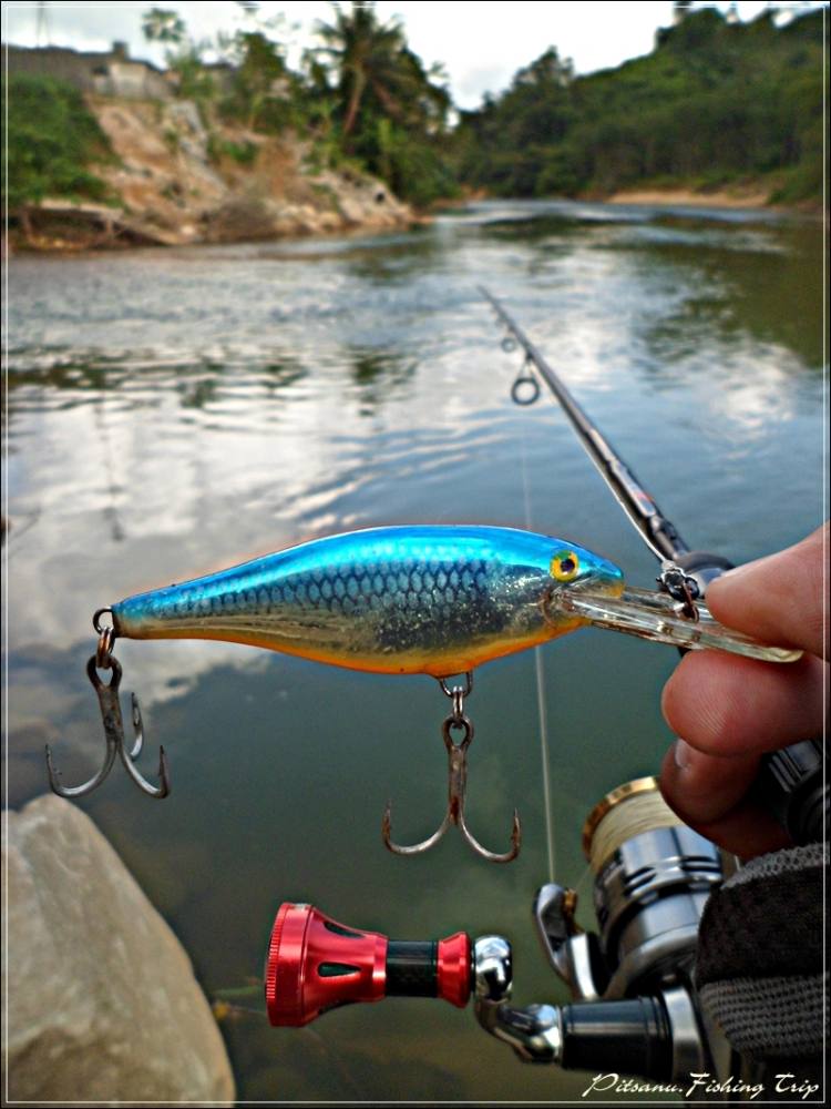  [center] :cheer:      ผมก็เลยไม่รอช้ารีบหยิบเหยื่อ   RAPALA SHAD RAP 7  ตัวนี้มาใช้เลยครับ    :chee