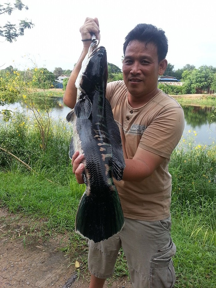 ลากันด้วยภาพนี้ครับ ขอยืมเค้ามาถ่าย ทั้งวันตีเบ็ดไม่ถึงสิบไม้ต้องคอยถ่ายรูปให้บรรดาน้าๆเค้าเพราะเดี๋