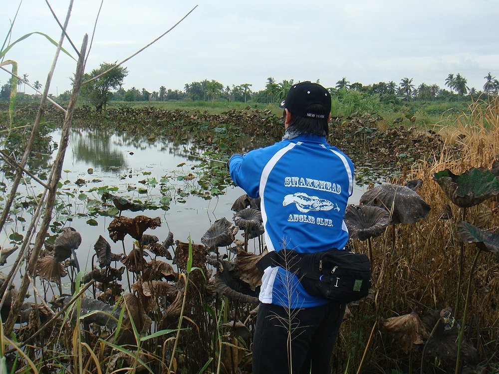 SnakeHead Angler Club 