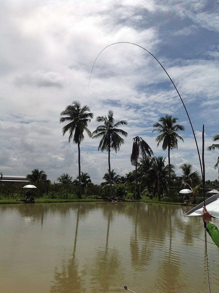 ถึงตาตรูแล้วน้าใหม่มรึงมาถ่ายให้ตรูเลย มามะๆ แฉะ :cool: