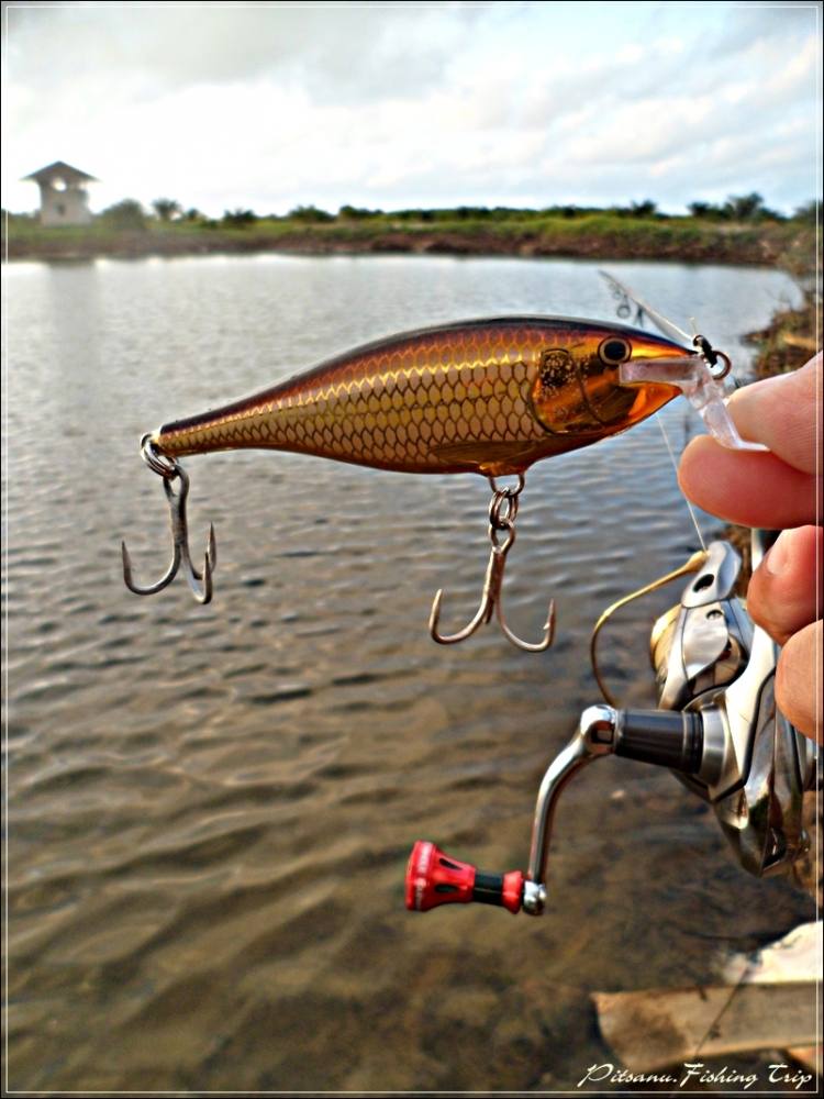  [center] :cheer:       เปลี่ยนเหยื่อก็แล้ว  แม้กระทั้งตัวนี้  RAPALA SHAD RAP 9      :cheer:[/cente