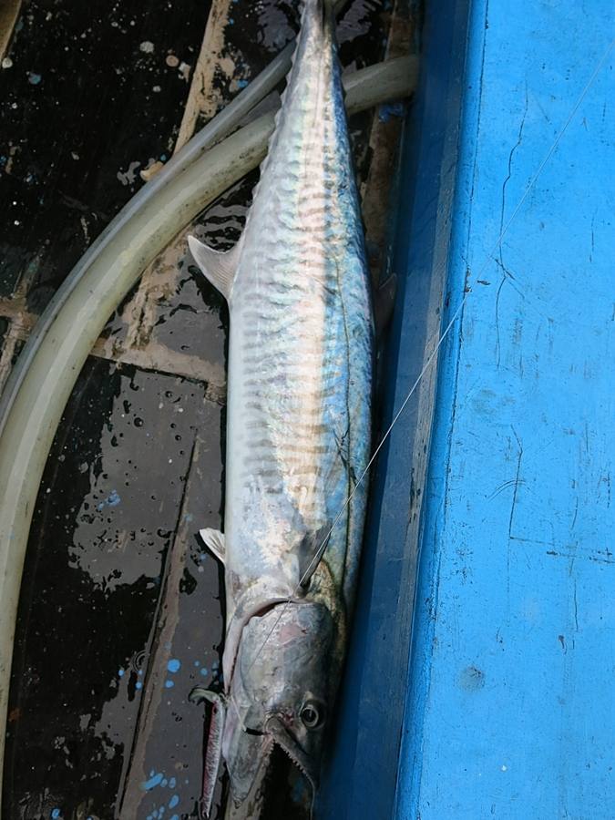 ขี้นมาอยู่บนเรือนะ