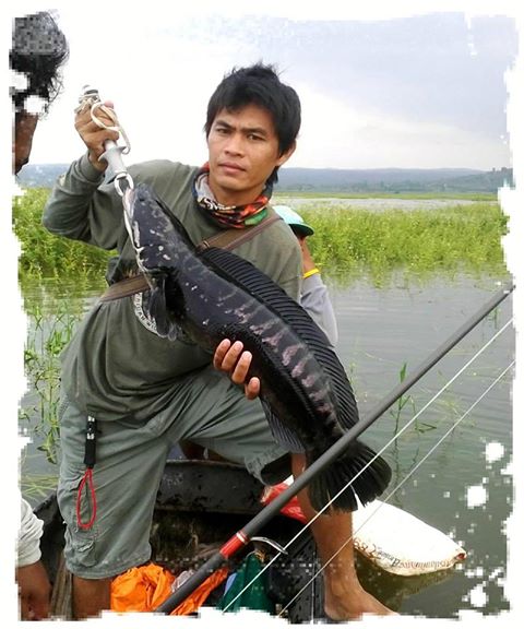 ชะโดลำแชะครับ