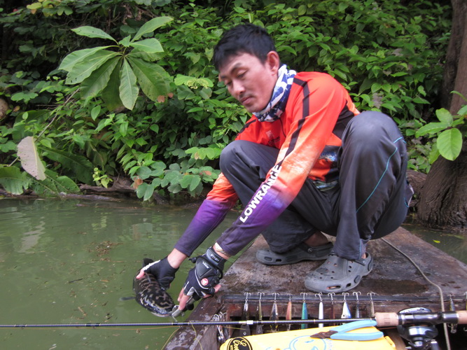 ปล่อยเหมือนเดิมครับ