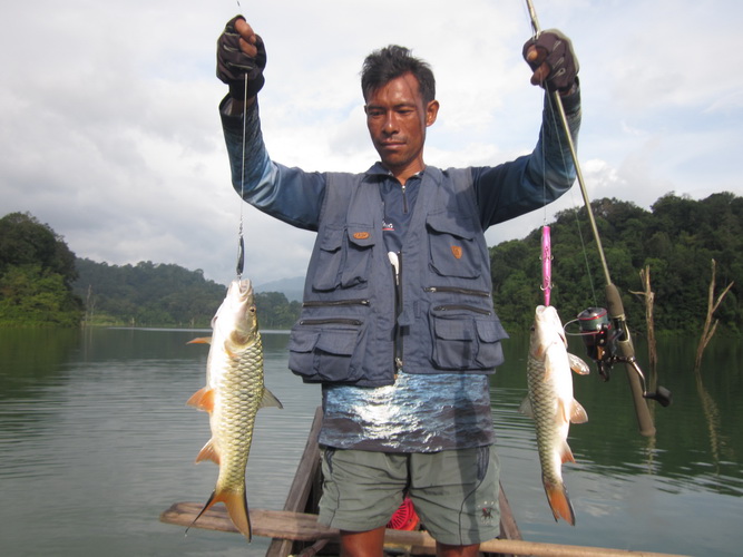 กระสูบเชี่ยวหลานไซร้โล สำหรับผมปลาเด็กๆครับ