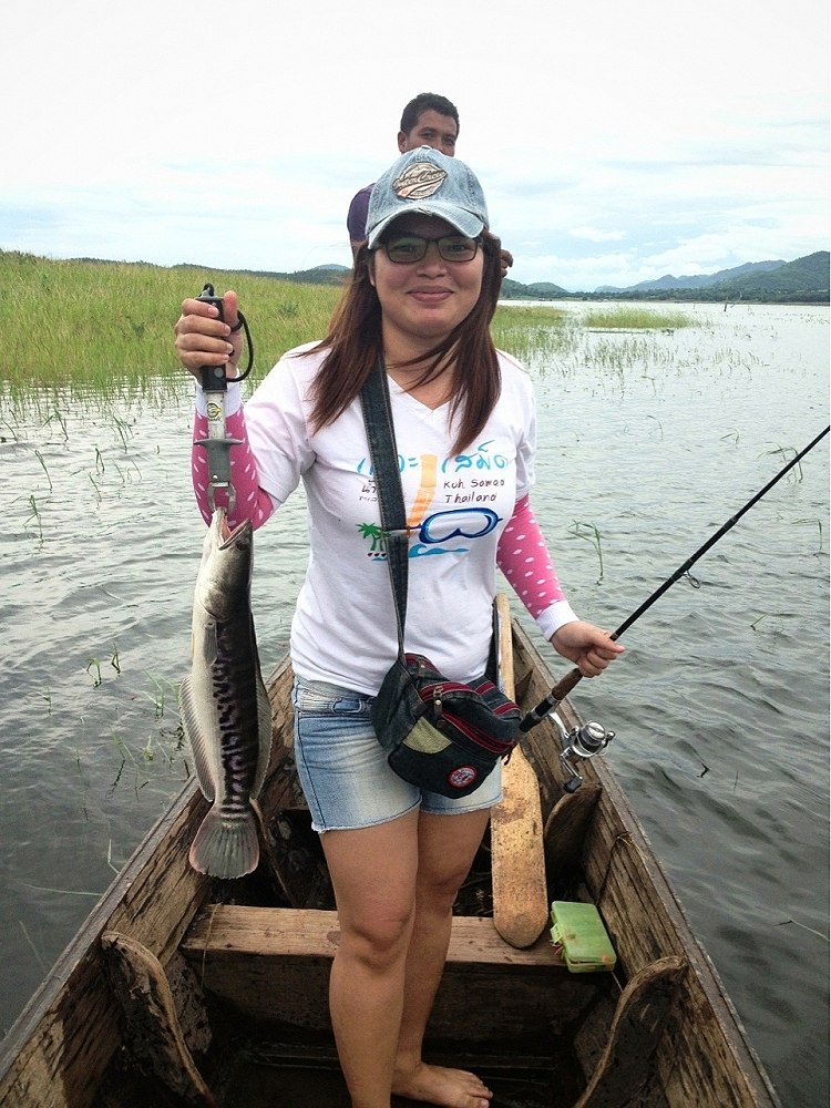 ชะโดเมืองกาญ